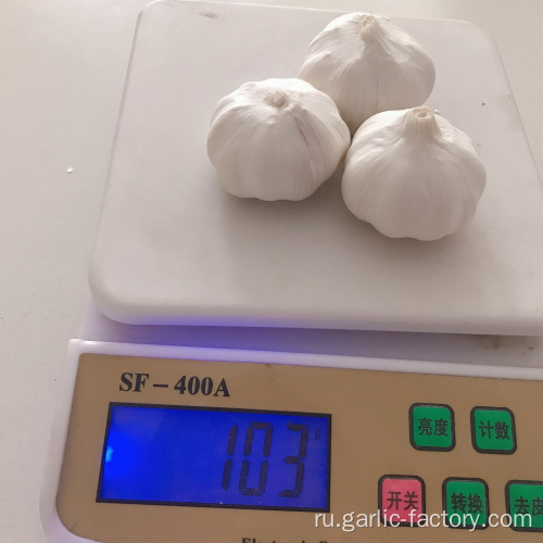 Новый свежий чеснок Цзинь Сян Чеснок 3.0cm-6.0cm